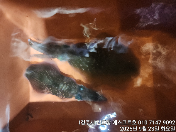 929ebbf50c66a6f2790819edd62a5775.jpg