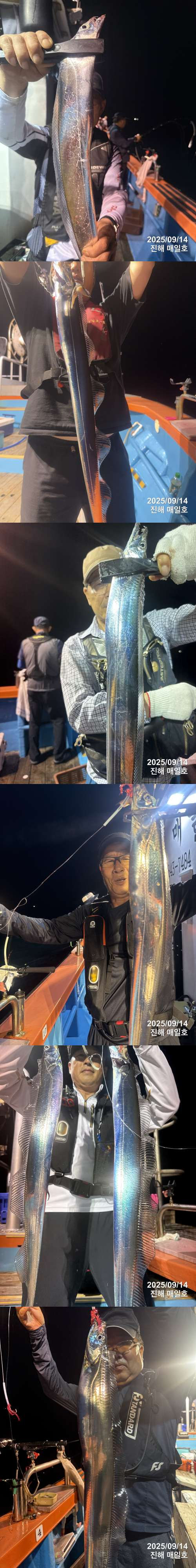 갈치1.jpg