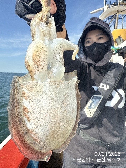 군산 선상낚시, 바다낚시 출조 전문 ☆서군산낚시☆_사진_20250921_13.jpg