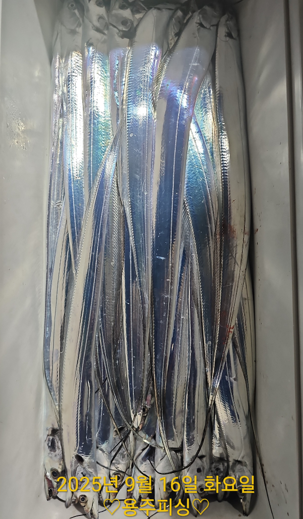 1757981524087.jpg