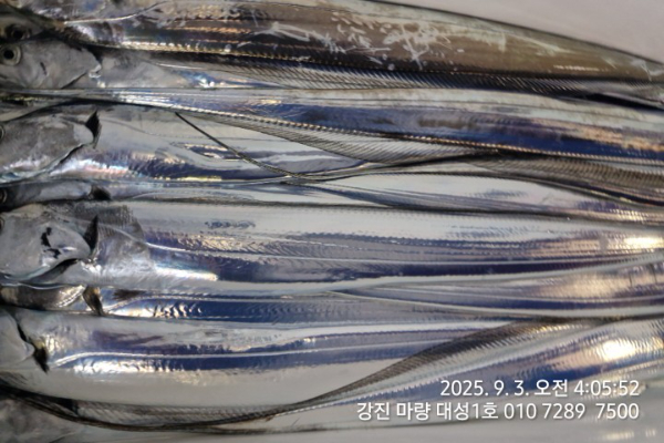 93d65a0de504630dd6baa9945824be0c.jpg