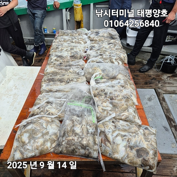 KakaoTalk_20250914_152500953_04.jpg