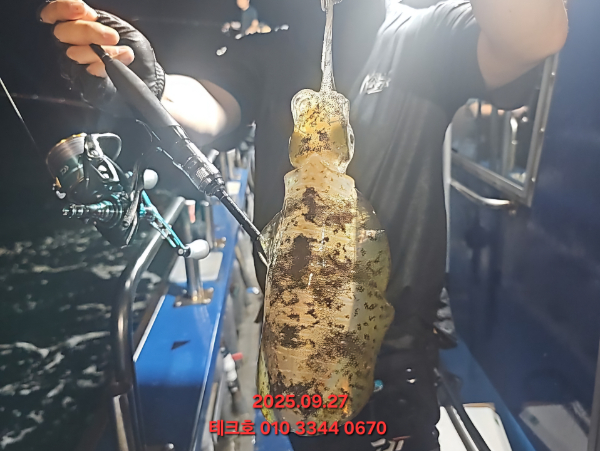 KakaoTalk_20250928_082601489_10.jpg