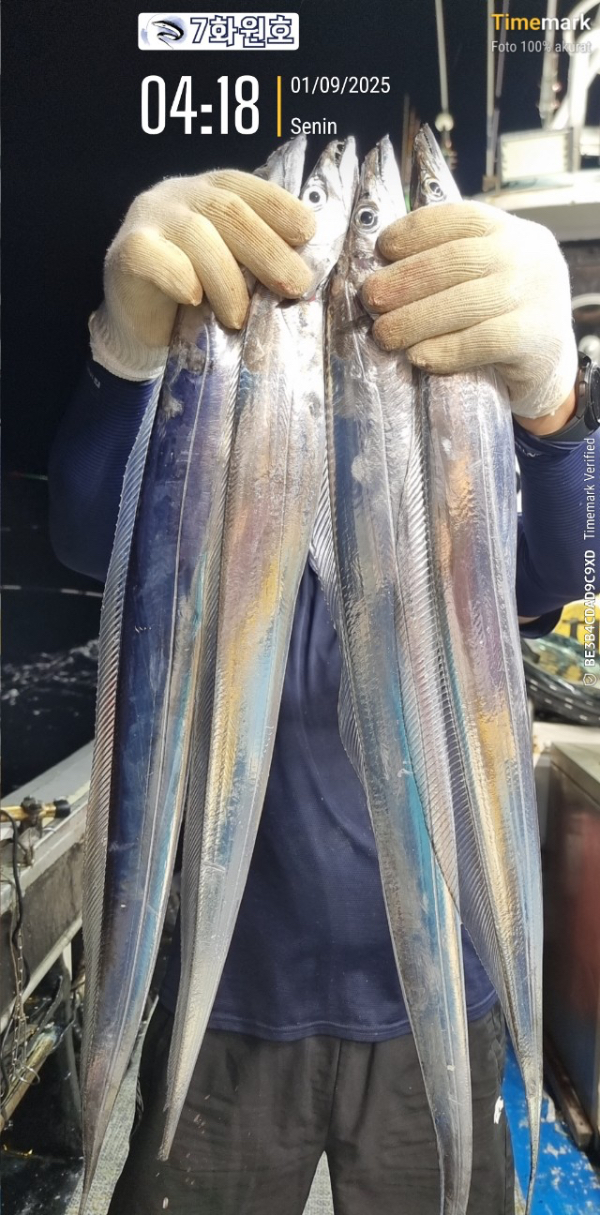 제주갈치낚시 화원호_사진_20250901_14.jpg