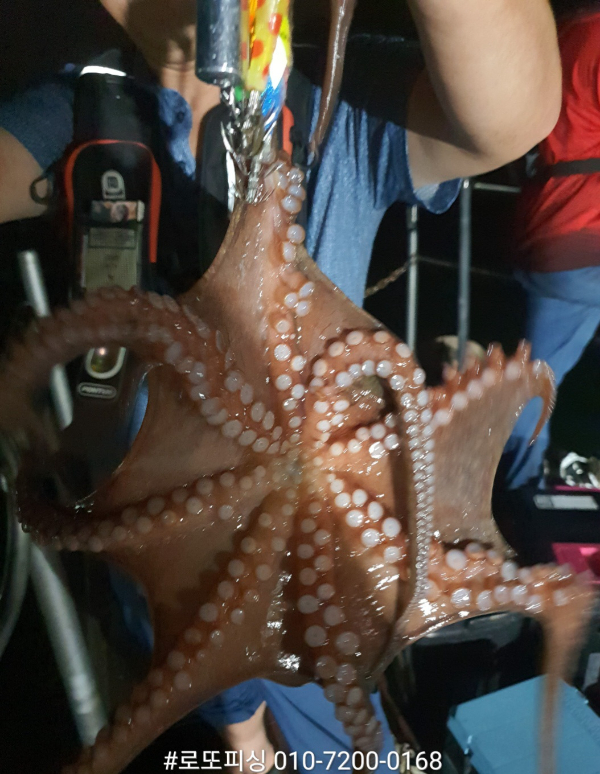 10590.jpg