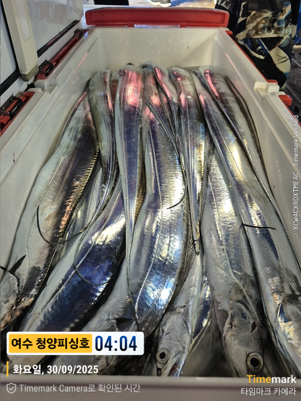 2025-09-30 04.04.31__(제목-여수 청양피싱호).jpg