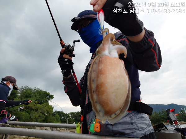 9598f1371d261507c1bb2dab5bc12cca.jpg