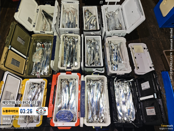 2025-09-16 03.26.41_대한민국_(제목-뉴블루마린호)_(예약전화 010 8924 3131).jpg