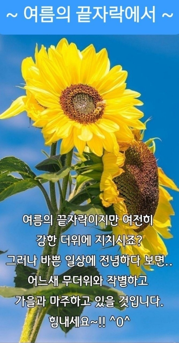 1000003961.jpg