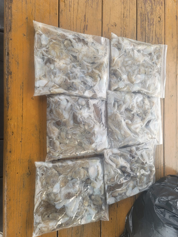 예지퀸호 농어외수질&어초낚시 경기인천권_사진_20250916_6.jpg