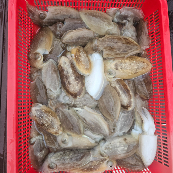 마검포 대한호(VIP)_사진_20250919_5.jpg