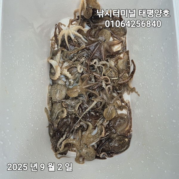 KakaoTalk_20250902_114134700_09.jpg