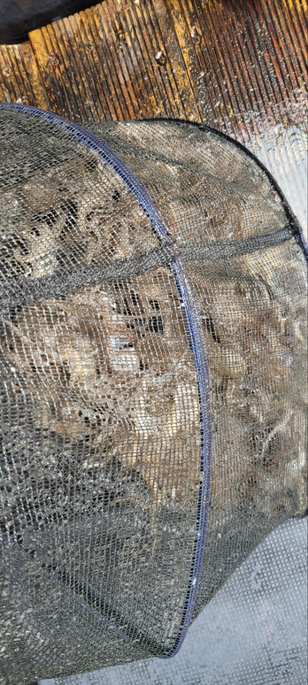 예지퀸호 농어외수질&어초낚시 경기인천권_사진_20250928_12.jpg