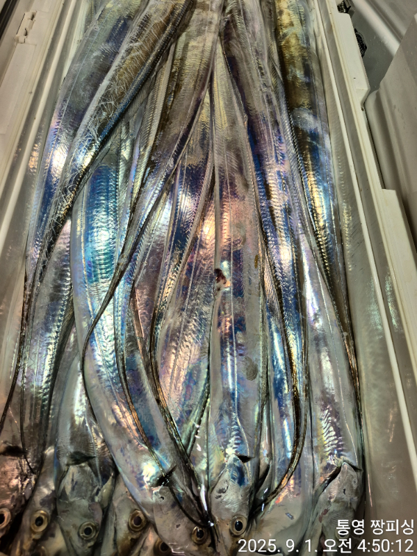 1000059042.jpg