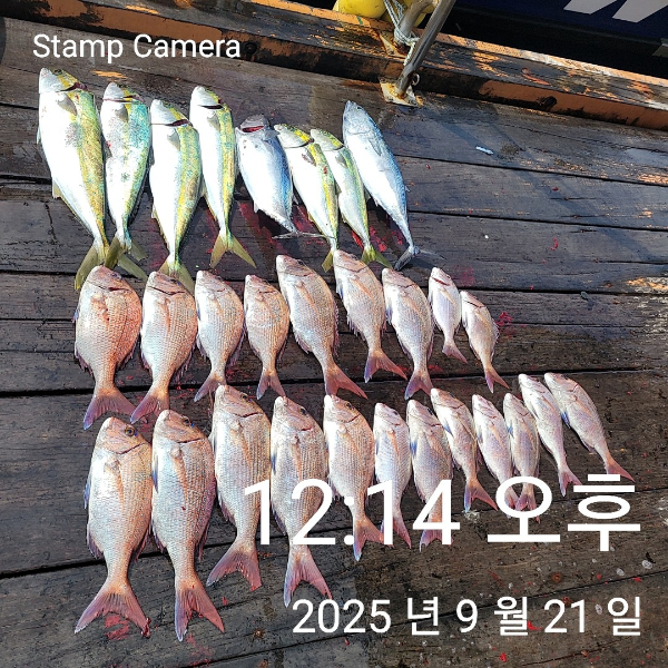 StampCamera20250921121455.jpg