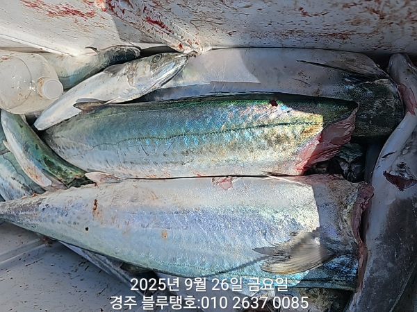 20250926_105755.jpg