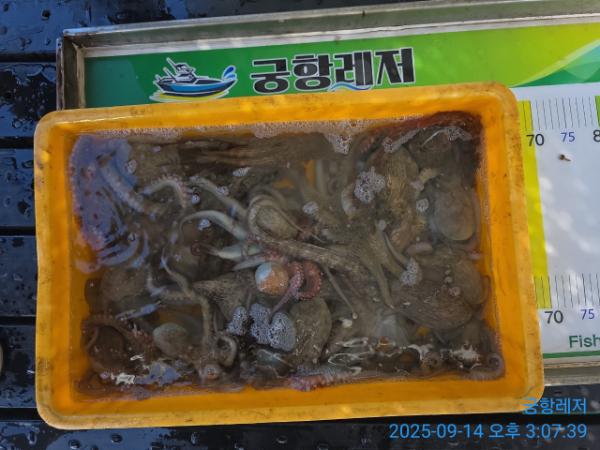 궁항레저_사진_20250914_7.jpg