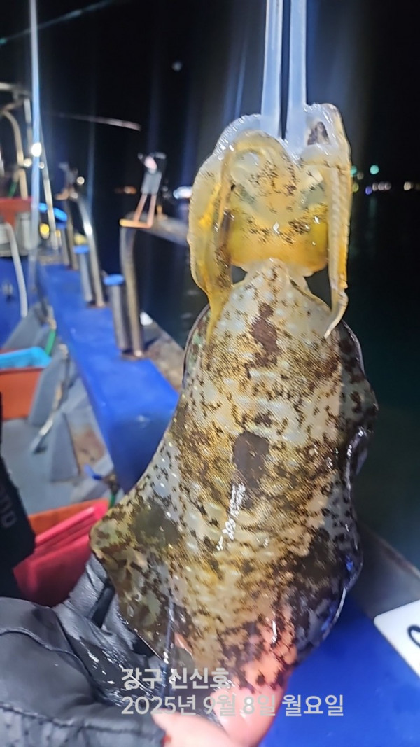 신신낚시 강구점 신신호_사진_20250909_2.jpg