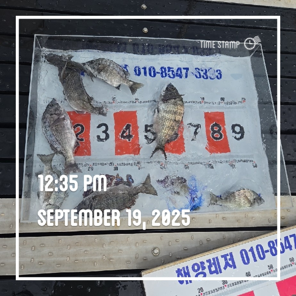 9a9ae84501ace20e52f6877454cac2a6.jpg