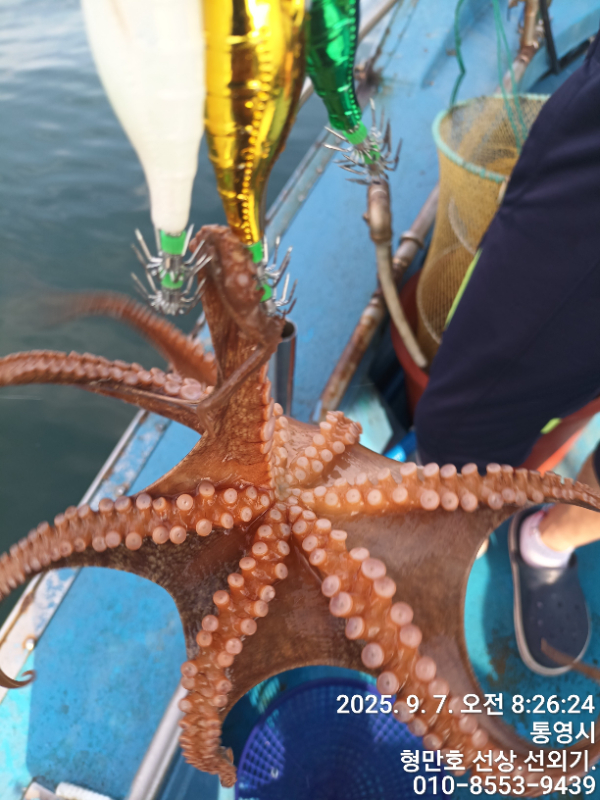 9abad88907fe38381819e522034b9a48.jpg