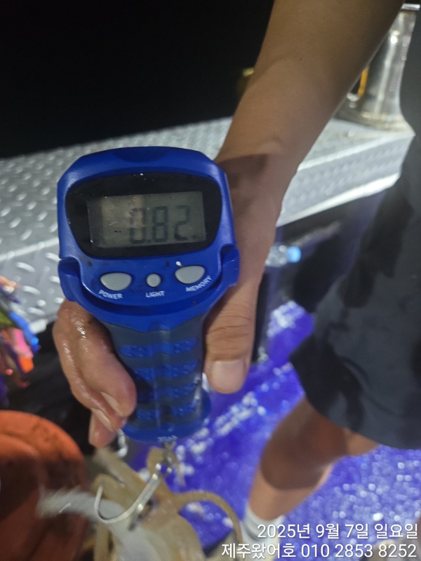 제주왔어호_사진_20250909_18.jpg
