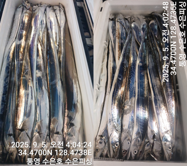1757024004454-tile.jpg