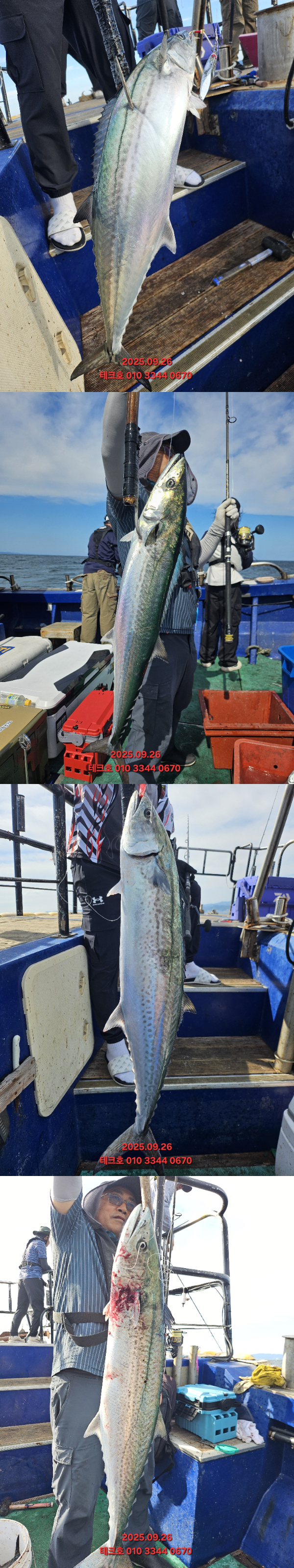 KakaoTalk_20250926_194506221_20-vert.jpg