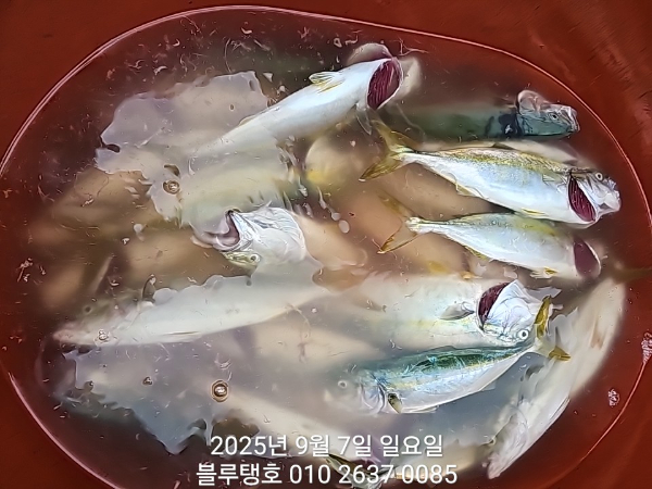 20250907_163011.jpg