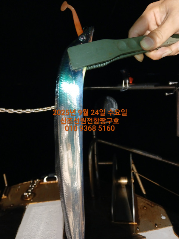 KakaoTalk_20250925_033733036_06.jpg