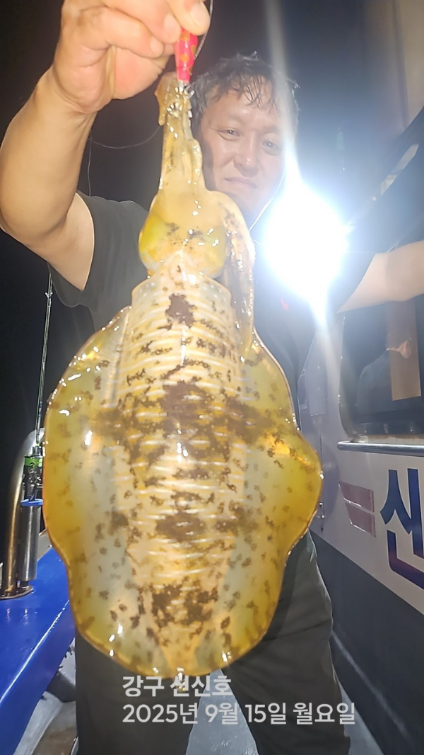 신신낚시 강구점 신신호_사진_20250916_7.jpg