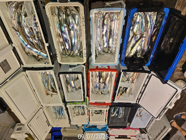 D1F0D510-15B7-48FB-9C45-E8B4A6FED9FE.jpeg