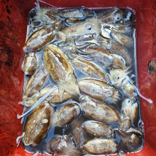 마검포 대한호(VIP)_사진_20250923_14.jpg