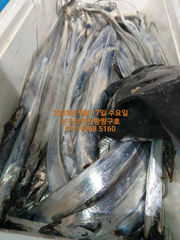 KakaoTalk_20250917_021017385_02.jpg