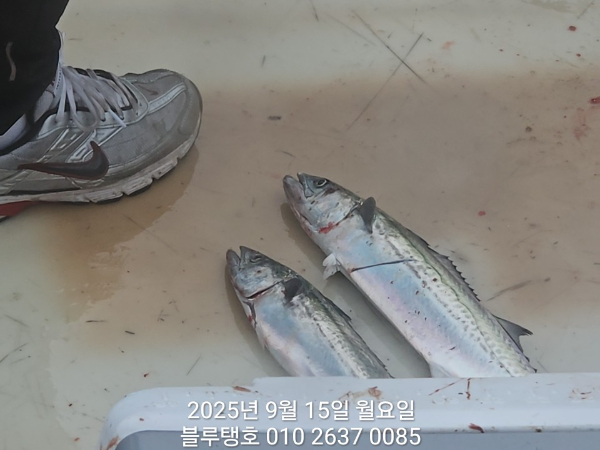20250915_135716.jpg
