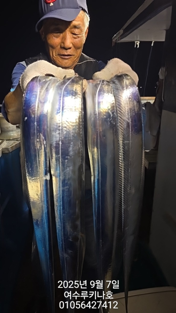 1757203960082.jpg