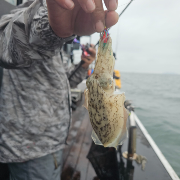 마검포 대한호(VIP)_사진_20250925_4.jpg