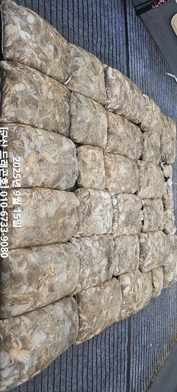 KakaoTalk_20250915_193345364.jpg