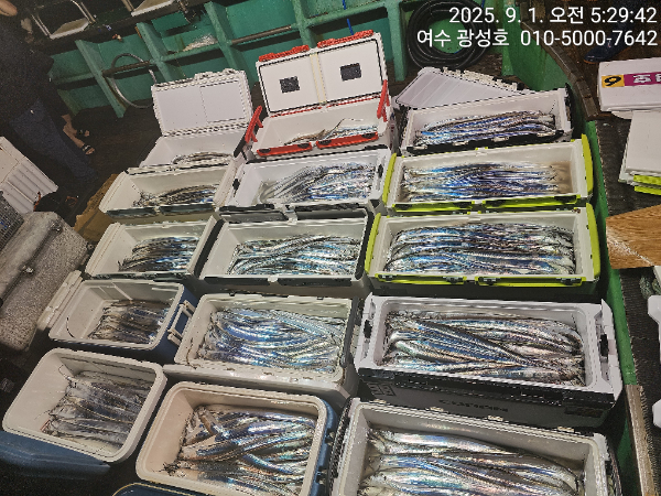 KakaoTalk_20250901_152431635_15.jpg