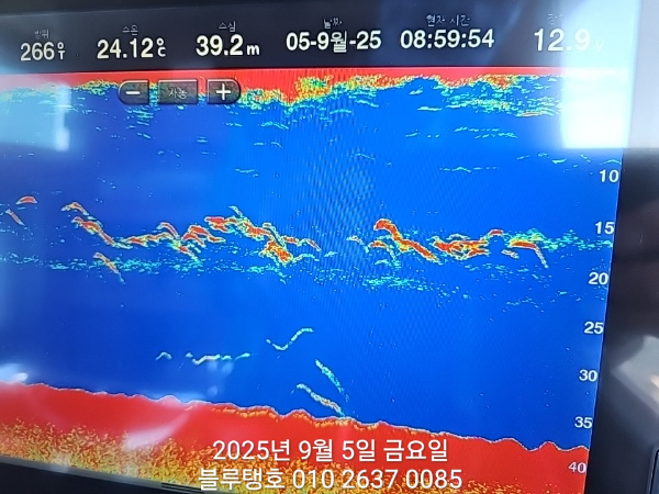 20250905_085955.jpg