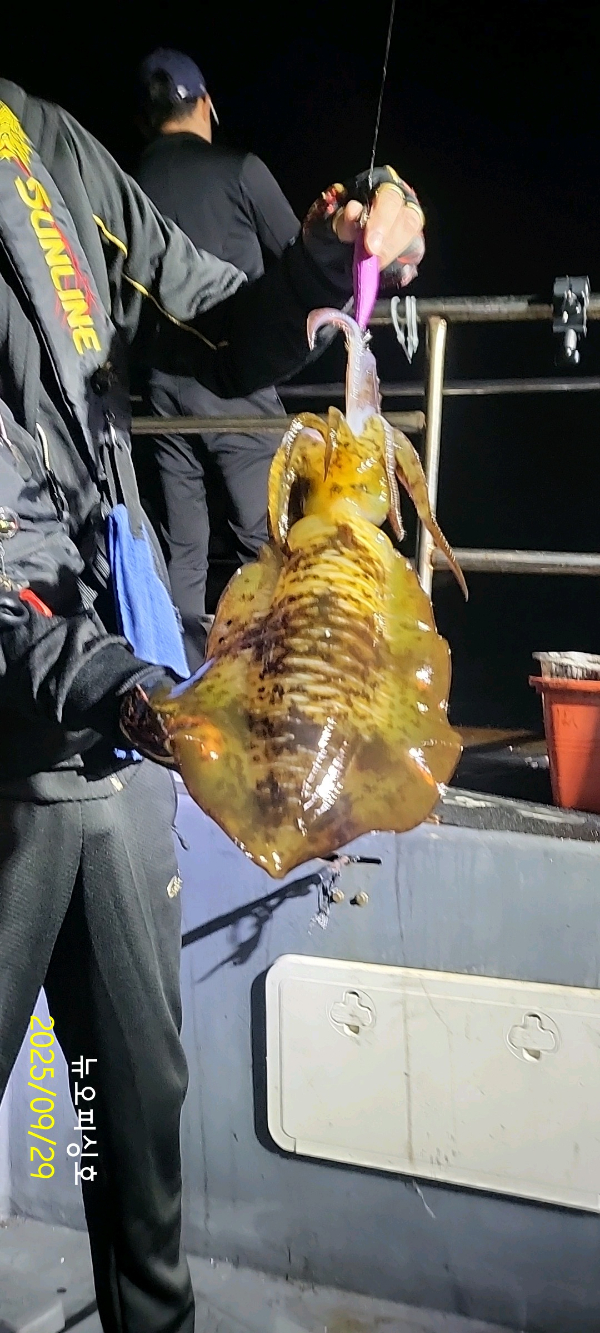 DateCamera0929031510.jpg