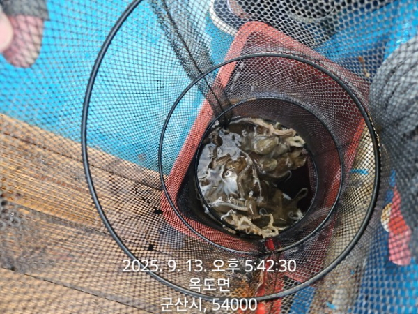 1000012916.jpg