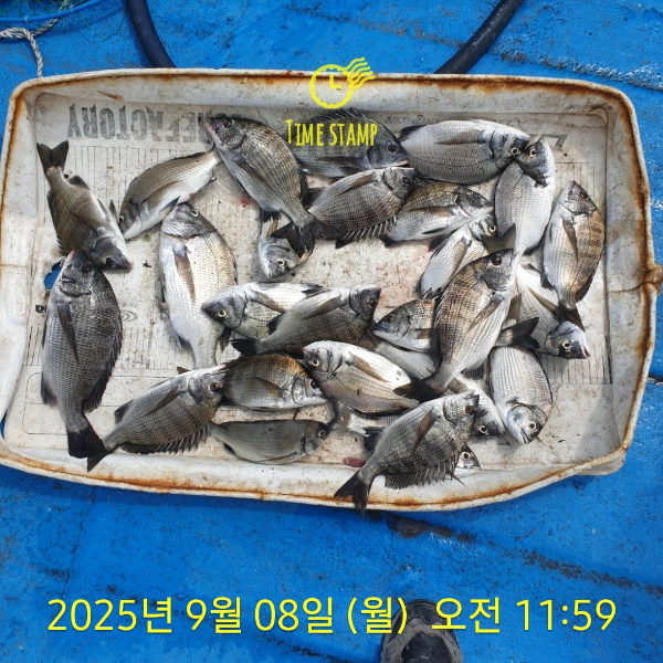 a0a790f9582dfd0baf1eb88abeae6ecb.jpg