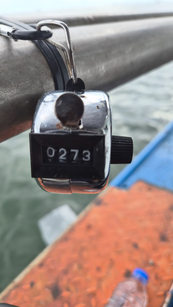 9799.jpg