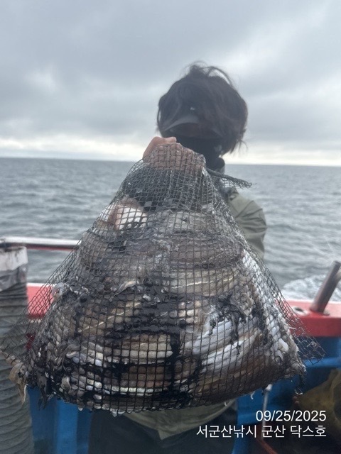 군산 선상낚시, 바다낚시 출조 전문 ☆서군산낚시☆_사진_20250925_4.jpg