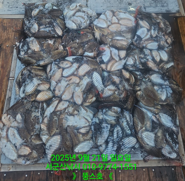 군산 선상낚시, 바다낚시 출조 전문 ☆서군산낚시☆_사진_20250921_3.jpg