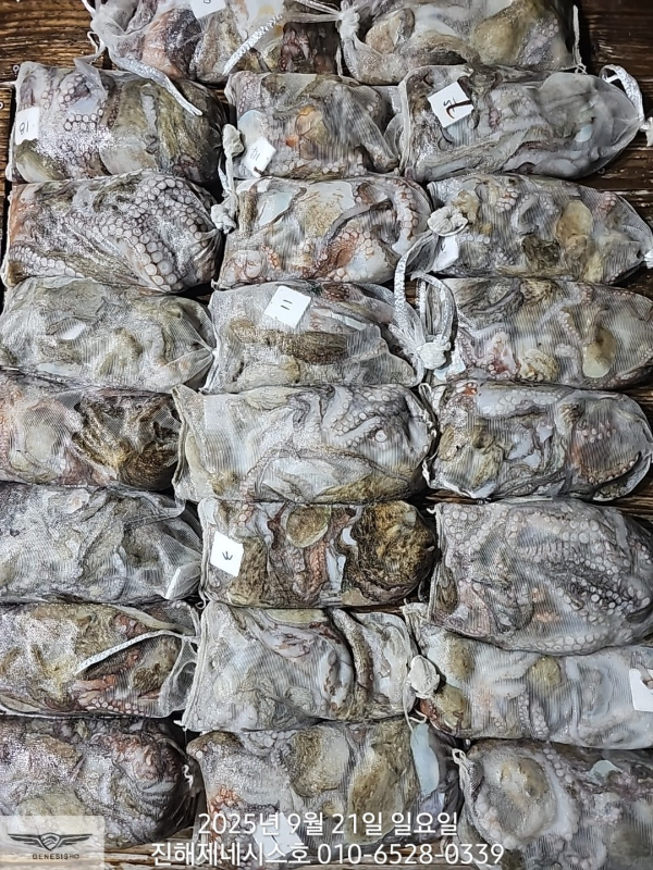 3_cjhUd018svc1l3939ysykh4s_bbj2f7.jpg