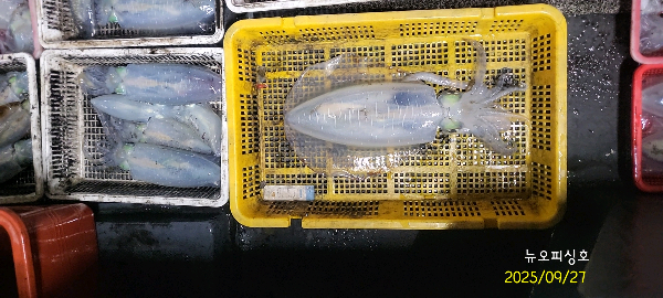 DateCamera0927004207.jpg