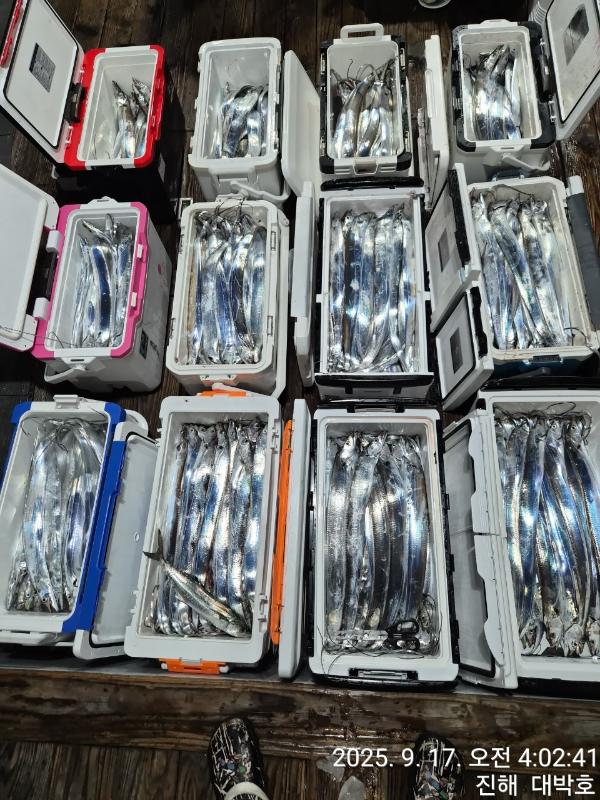 KakaoTalk_20250917_181319754_09.jpg