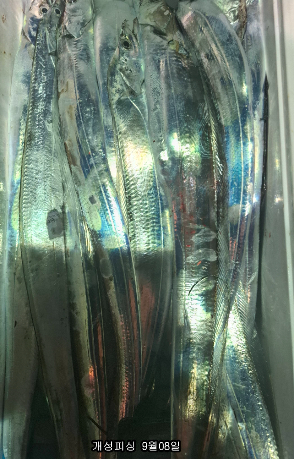 a1c60ccb9b9691f98e1e005609c5d15f.jpg