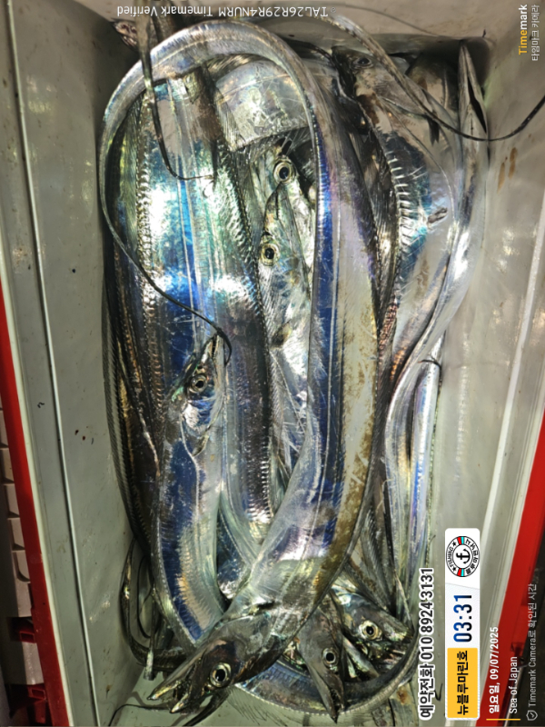 2025-09-07 03.31.13_Japan_(제목-뉴블루마린호)_(예약전화 010 8924 3131).jpg